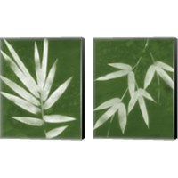 Framed 'Green Spa Bamboo 2 Piece Canvas Print Set' border=