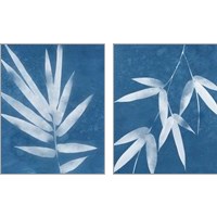 Framed 'Spa Bamboo Blue 2 Piece Art Print Set' border=