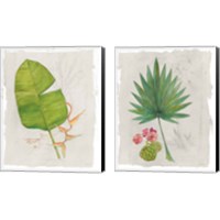 Framed Botanical Journal Light 2 Piece Canvas Print Set