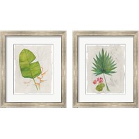 Framed Botanical Journal Light 2 Piece Framed Art Print Set