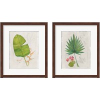 Framed 'Botanical Journal Light 2 Piece Framed Art Print Set' border=