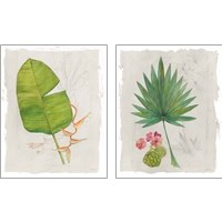 Framed 'Botanical Journal Light 2 Piece Art Print Set' border=