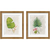 Framed 'Botanical Journal Light 2 Piece Framed Art Print Set' border=