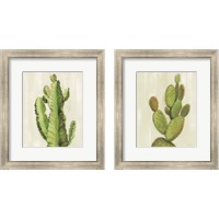 Framed 'Front Yard Succulent 2 Piece Framed Art Print Set' border=