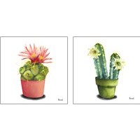 Framed 'Cactus Flowers 2 Piece Art Print Set' border=