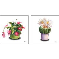Framed 'Cactus Flowers 2 Piece Art Print Set' border=