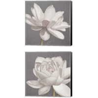 Framed Vintage Lotus on Grey 2 Piece Canvas Print Set
