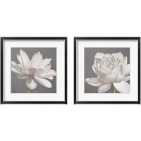 Framed Vintage Lotus on Grey 2 Piece Framed Art Print Set