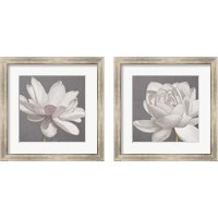 Framed Vintage Lotus on Grey 2 Piece Framed Art Print Set