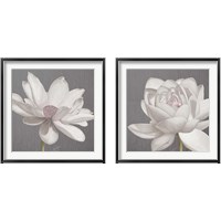 Framed 'Vintage Lotus on Grey 2 Piece Framed Art Print Set' border=