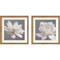Framed Vintage Lotus on Grey 2 Piece Framed Art Print Set