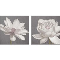 Framed Vintage Lotus on Grey 2 Piece Art Print Set