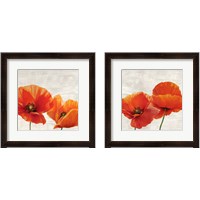 Framed 'Bright Poppies 2 Piece Framed Art Print Set' border=