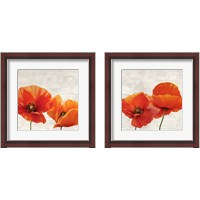 Framed Bright Poppies 2 Piece Framed Art Print Set