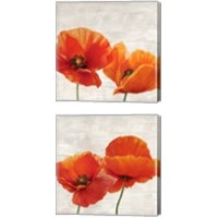 Framed 'Bright Poppies 2 Piece Canvas Print Set' border=