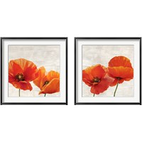 Framed Bright Poppies 2 Piece Framed Art Print Set