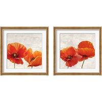 Framed 'Bright Poppies 2 Piece Framed Art Print Set' border=