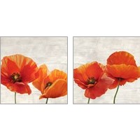 Framed 'Bright Poppies 2 Piece Art Print Set' border=