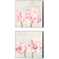 Framed 'Classic Tulips 2 Piece Canvas Print Set' border=