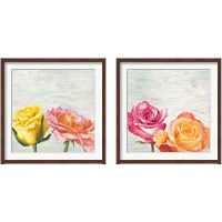 Framed 'Funky Roses 2 Piece Framed Art Print Set' border=
