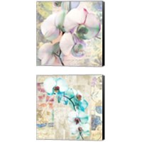 Framed 'Kaleidoscope Orchid (detail) 2 Piece Canvas Print Set' border=