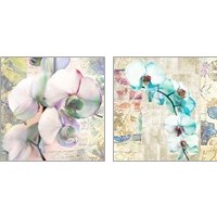 Framed 'Kaleidoscope Orchid (detail) 2 Piece Art Print Set' border=