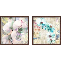 Framed 'Kaleidoscope Orchid (detail) 2 Piece Framed Art Print Set' border=