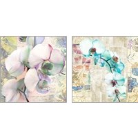 Framed Kaleidoscope Orchid (detail) 2 Piece Art Print Set