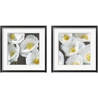 Framed 'Poppies on Chalkboard 2 Piece Framed Art Print Set' border=