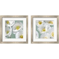 Framed 'Poppies on Mint 2 Piece Framed Art Print Set' border=