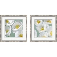 Framed 'Poppies on Mint 2 Piece Framed Art Print Set' border=