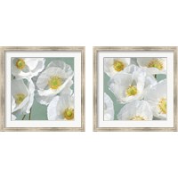 Framed Poppies on Mint 2 Piece Framed Art Print Set
