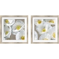 Framed 'Poppies on Taupe 2 Piece Framed Art Print Set' border=