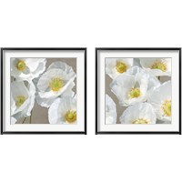 Framed Poppies on Taupe 2 Piece Framed Art Print Set