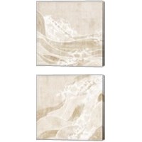 Framed 'Tidal Waves 2 Piece Canvas Print Set' border=