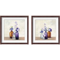 Framed Windowsill Garden 2 Piece Framed Art Print Set