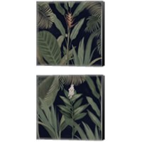 Framed 'Dramatic Tropical  Light 2 Piece Canvas Print Set' border=