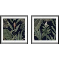 Framed Dramatic Tropical  Light 2 Piece Framed Art Print Set