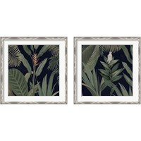 Framed 'Dramatic Tropical  Light 2 Piece Framed Art Print Set' border=