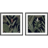 Framed Dramatic Tropical  Light 2 Piece Framed Art Print Set