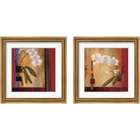 Framed 'Orchid Lines 2 Piece Framed Art Print Set' border=
