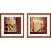 Framed 'Orchid Lines 2 Piece Framed Art Print Set' border=