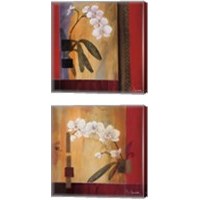 Framed Orchid Lines 2 Piece Canvas Print Set