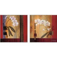 Framed Orchid Lines 2 Piece Art Print Set