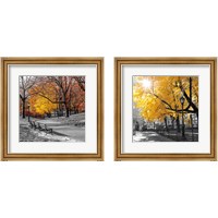 Framed 'Park Pretty 2 Piece Framed Art Print Set' border=