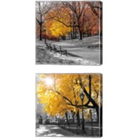 Framed 'Park Pretty 2 Piece Canvas Print Set' border=