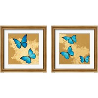 Framed Cerulean Butterfly 2 Piece Framed Art Print Set