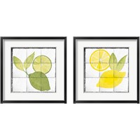 Framed Citrus Tile Black Border 2 Piece Framed Art Print Set