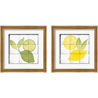 Framed 'Citrus Tile Black Border 2 Piece Framed Art Print Set' border=