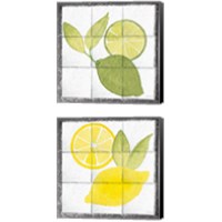 Framed 'Citrus Tile Black Border 2 Piece Canvas Print Set' border=